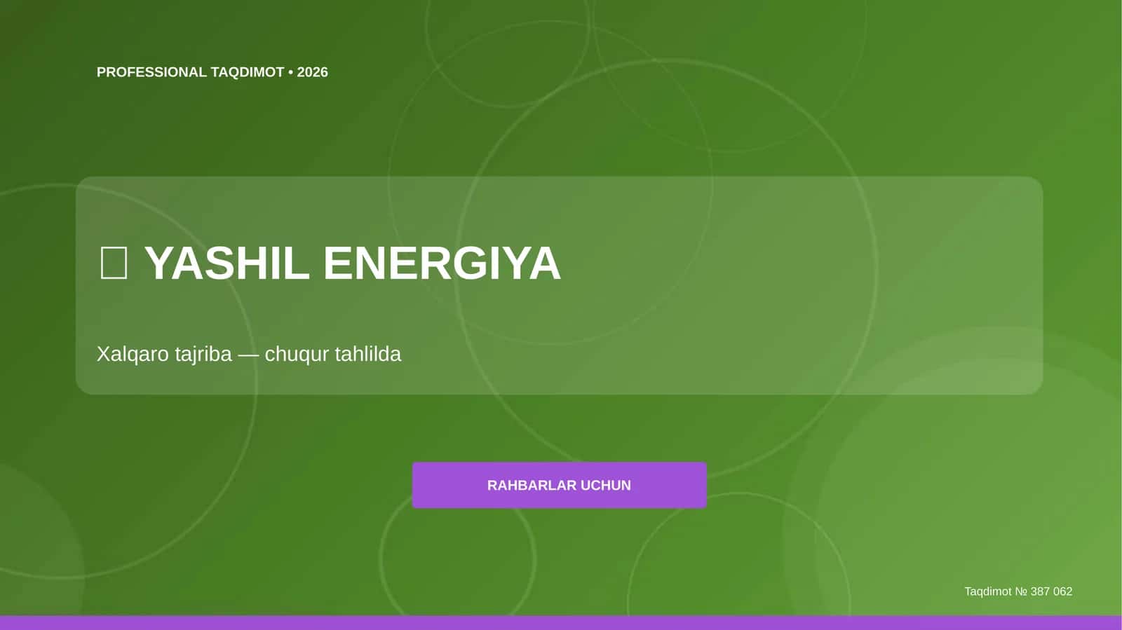 Yashil energiya: xalqaro tajriba (chuqur tahlilda) [rahbarlar uchun]