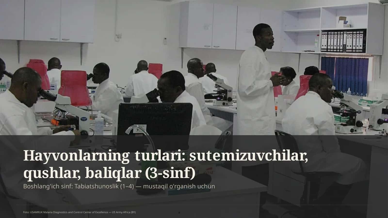 Hayvonlarning turlari: sutemizuvchilar, qushlar, baliqlar (3-sinf)