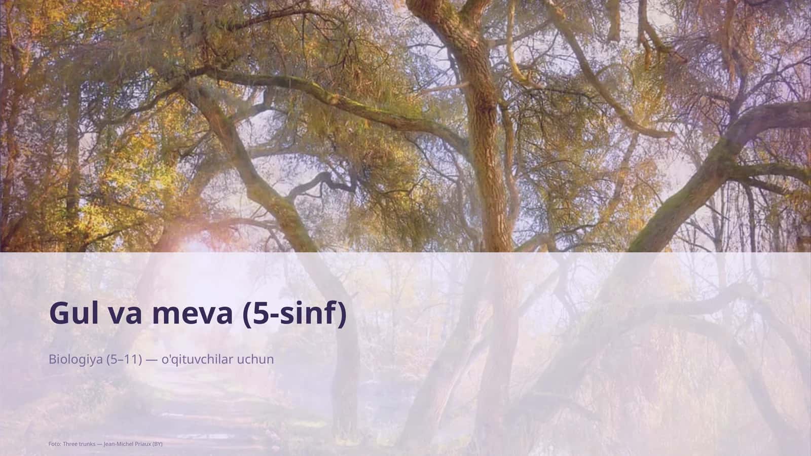 Gul va meva (5-sinf)
