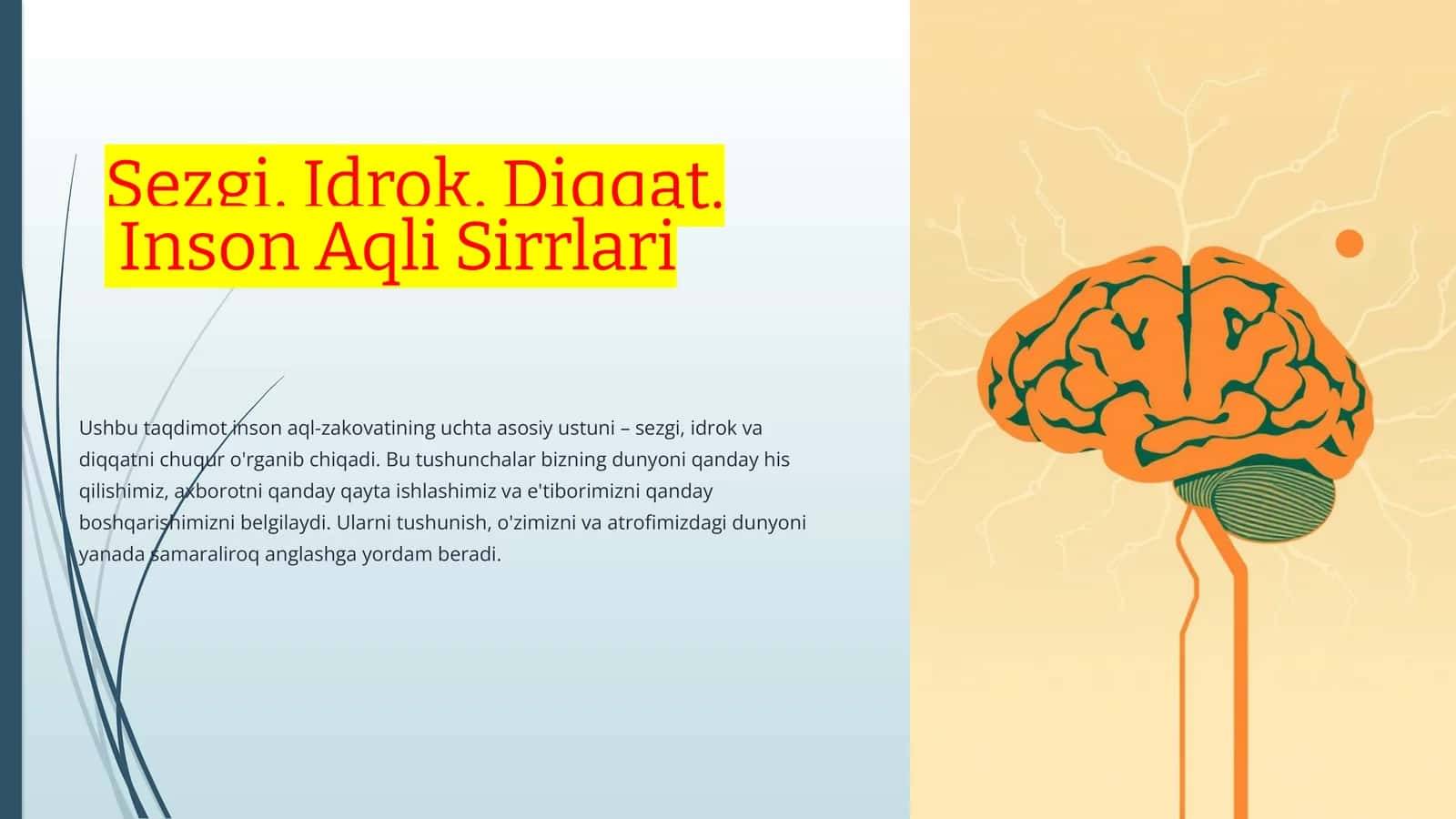Sezgi, Idrok, Diqqat. Inson Aqli Sirrlari