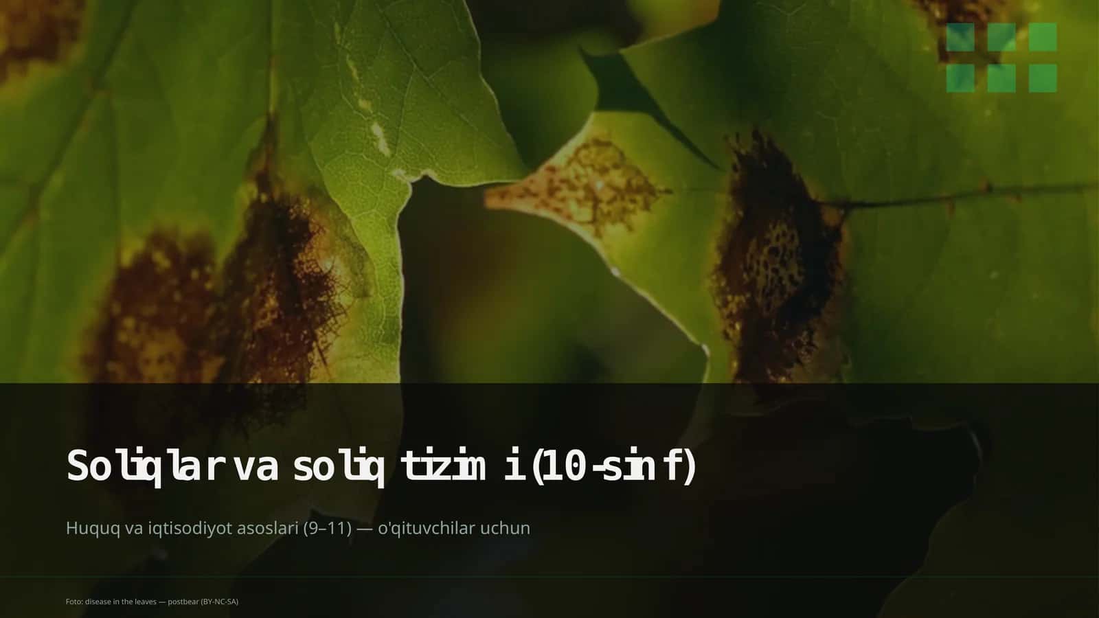 Soliqlar va soliq tizimi (10-sinf)