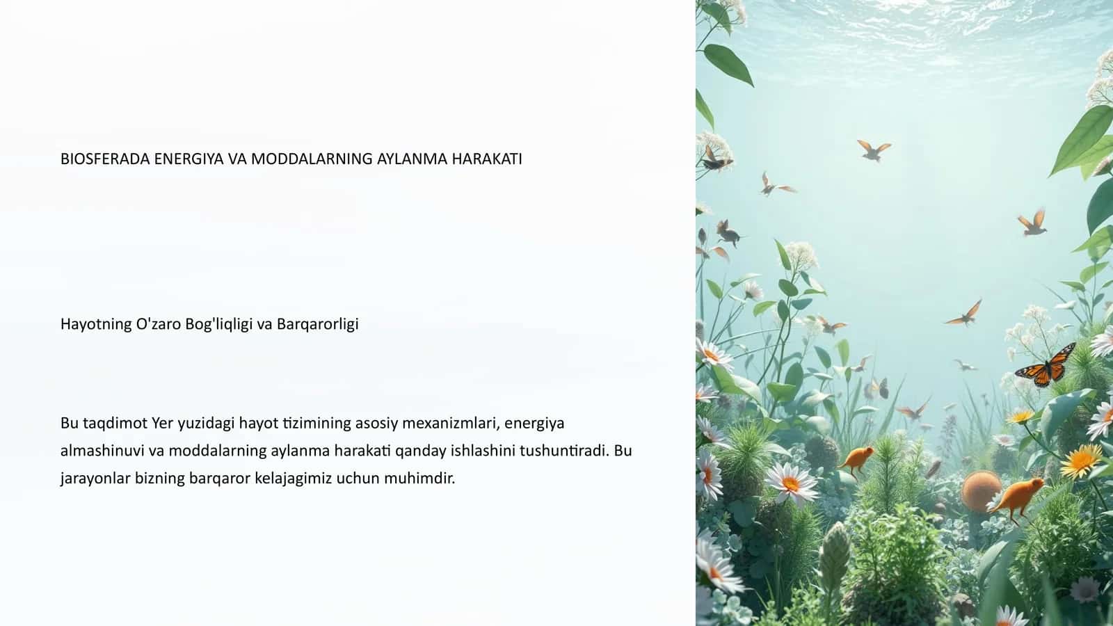 BIOSFERADA ENERGIYA VA MODDALARNING AYLANMA HARAKATI