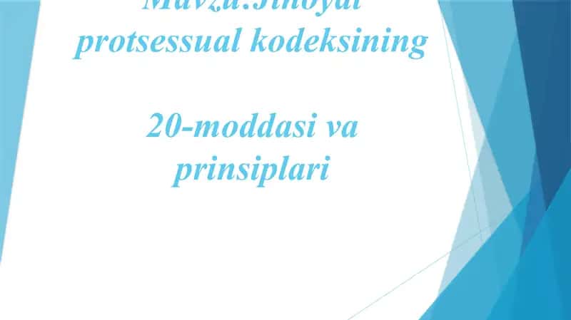 Jinoyat protsessual kodeksining 20-moddasi va prinsiplari