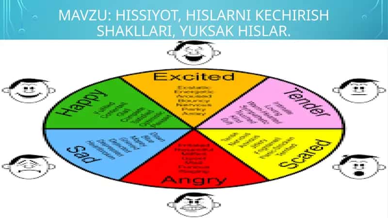 Hissiyot, hislarni kechirish shakllari, yuksak hislar.