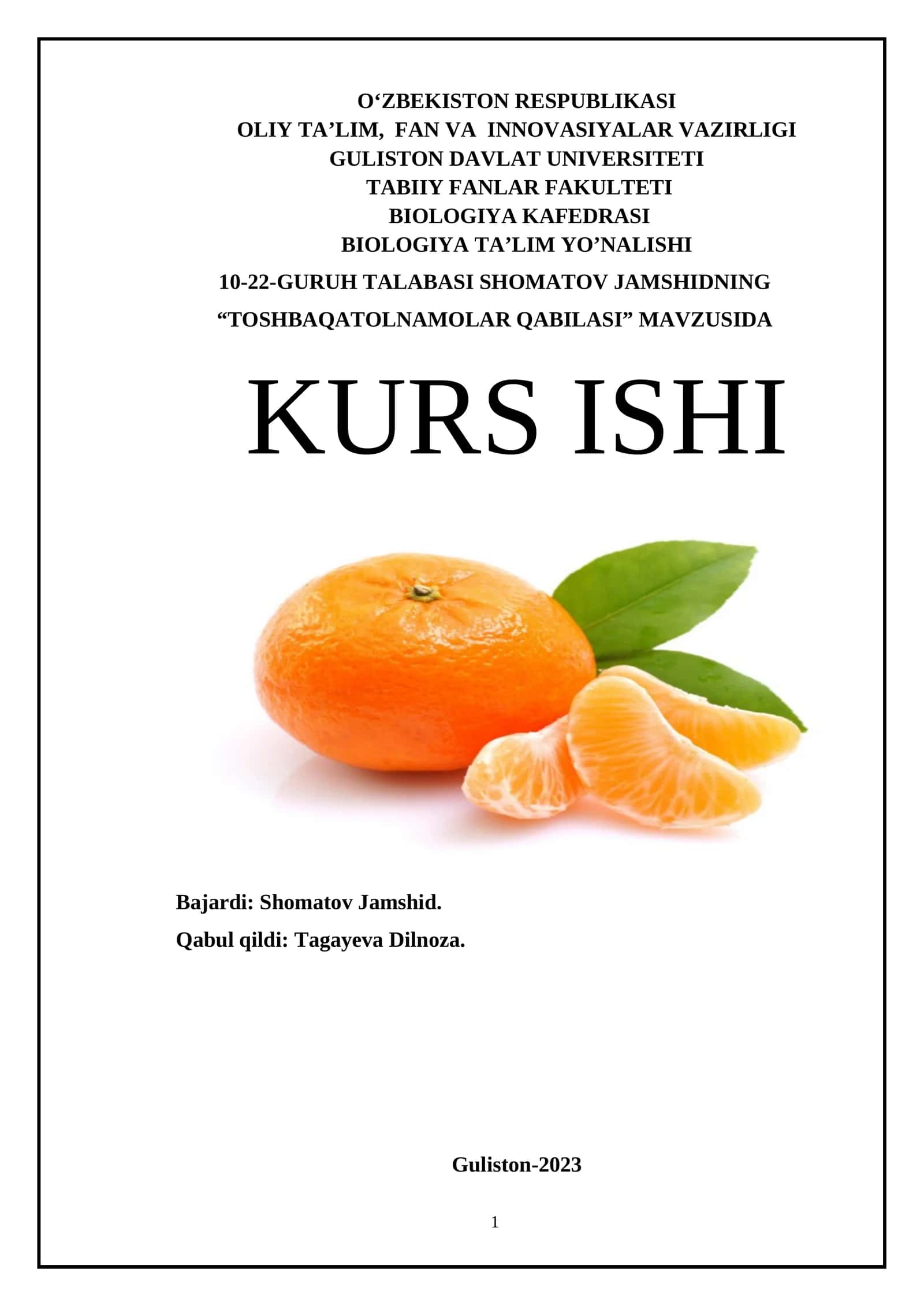 "Toshbaqatolnamolar Qabilasi" Mavzusida Kurs Ishi