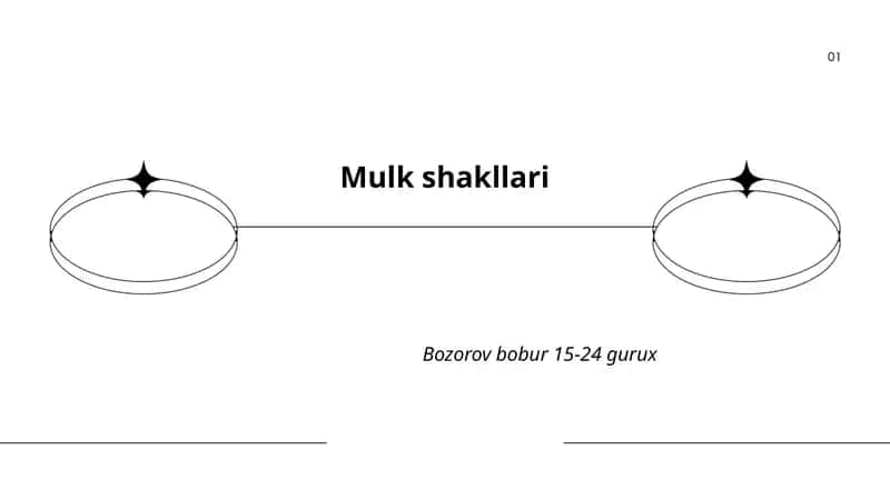 Mulk shakllari