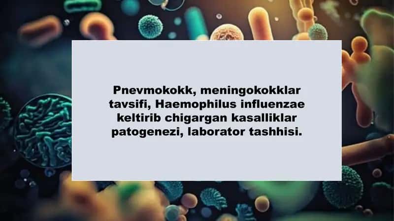 Pnevmokokk, meningokokklar, Haemophilus influenzae