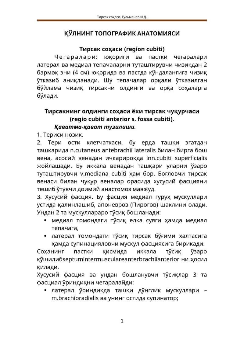 ҚЎЛНИНГ ТОПОГРАФИК АНАТОМИЯСИ