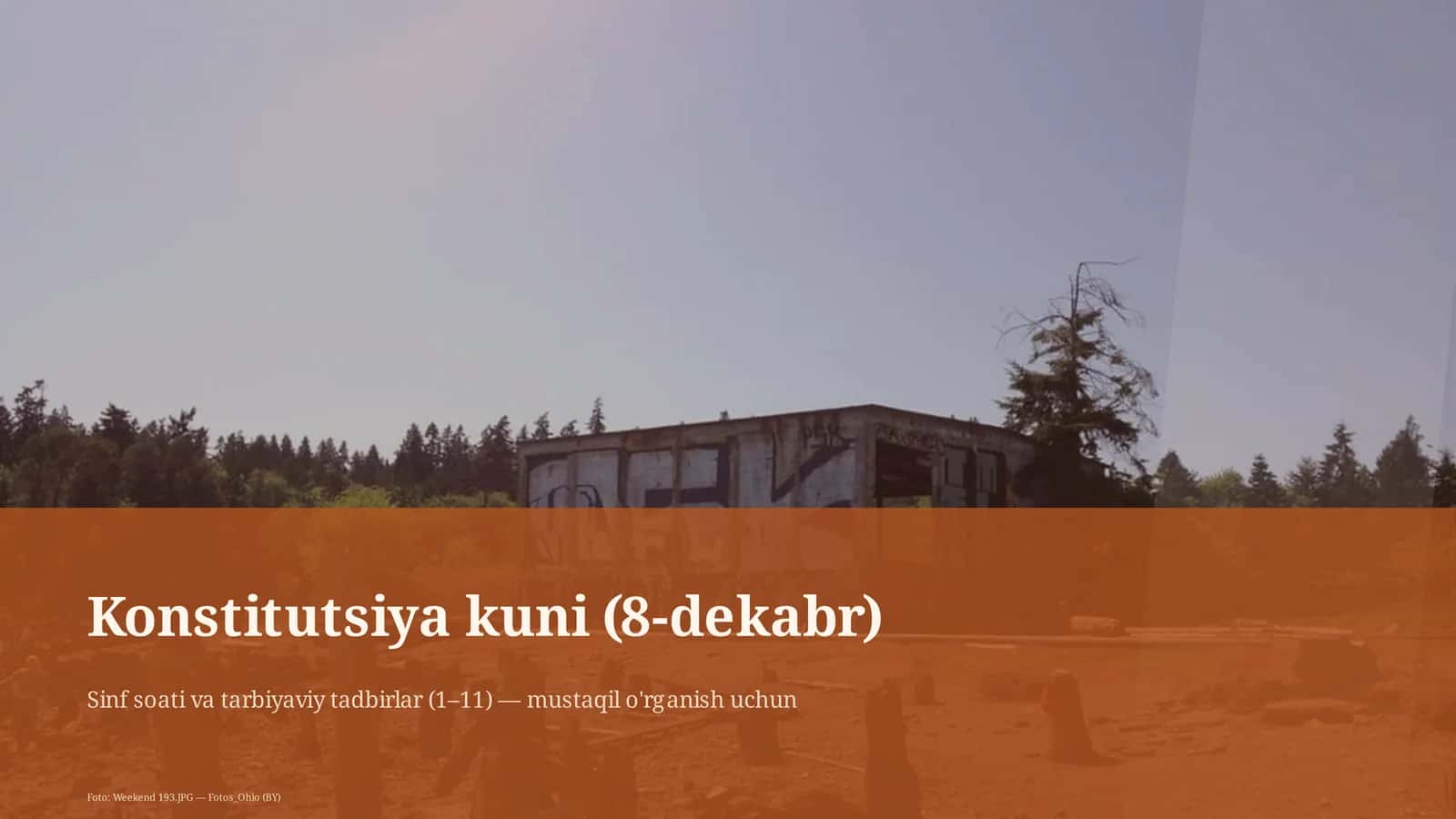 Konstitutsiya kuni (8-dekabr)