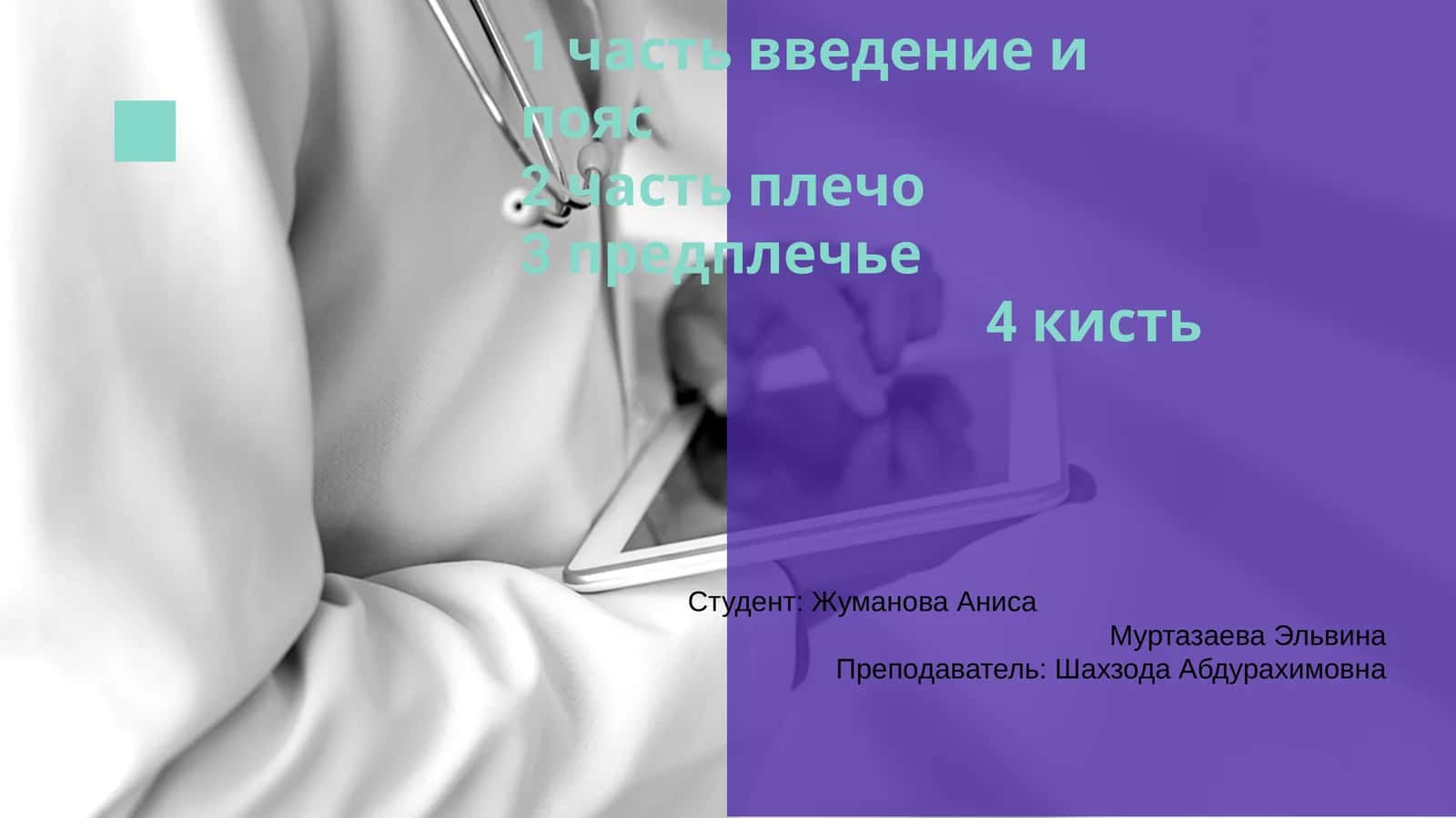 Анатомия плеча