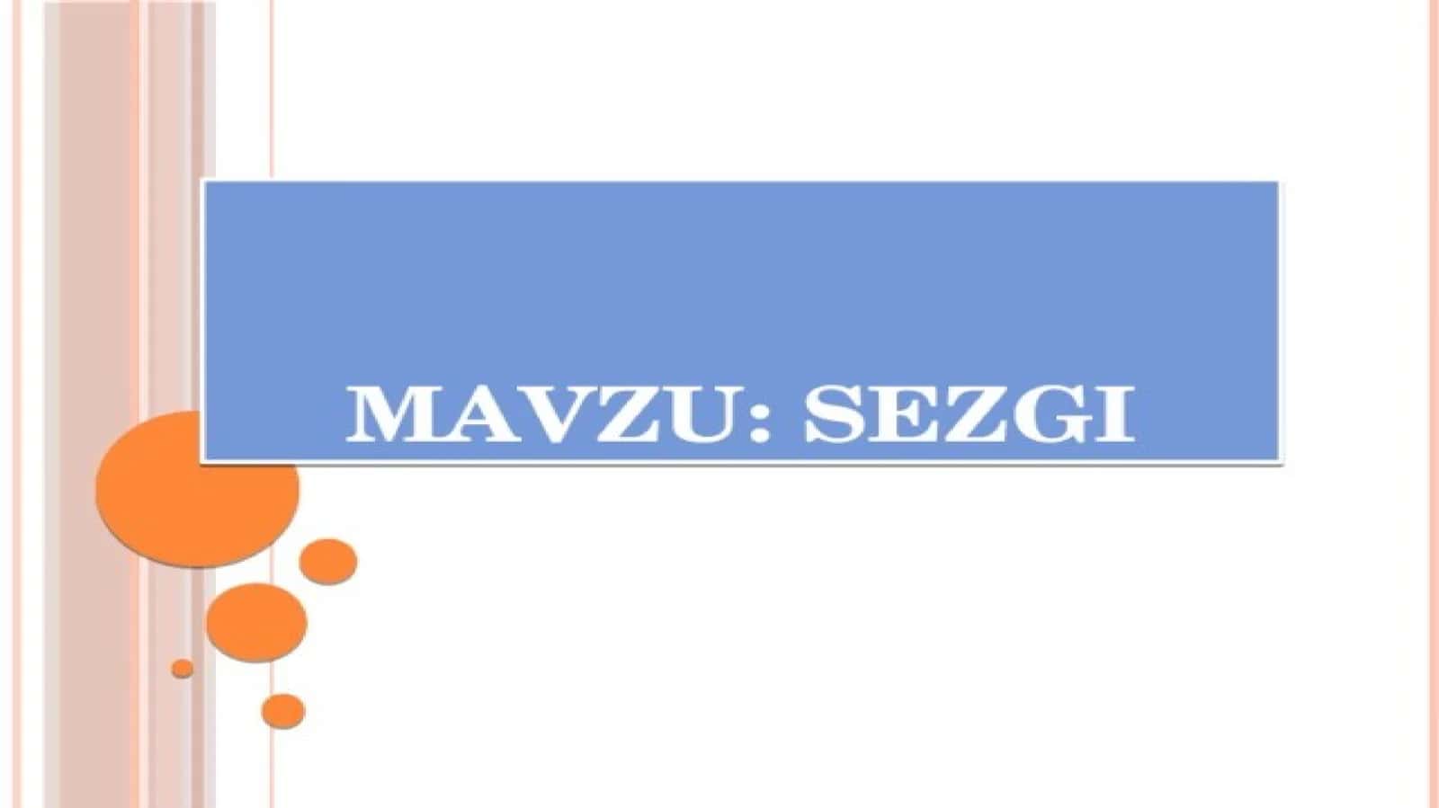 Sezgi