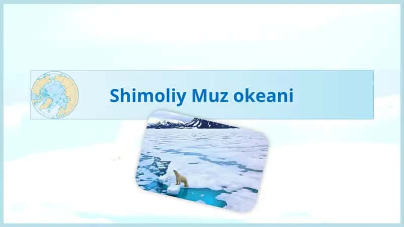 Shimoliy Muzokeani