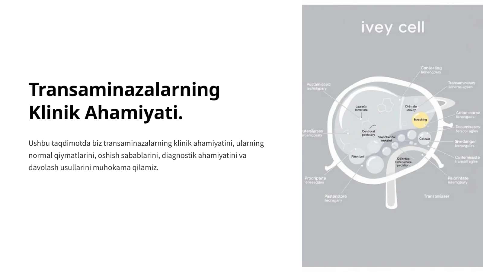 Transaminazalarning Klinik Ahamiyati