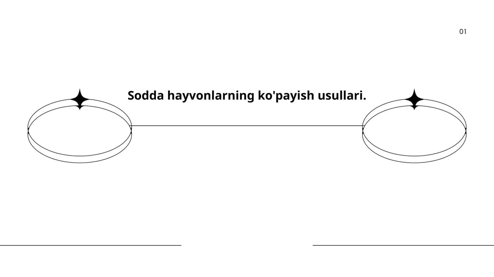 Sodda hayvonlarning ko'payish usullari