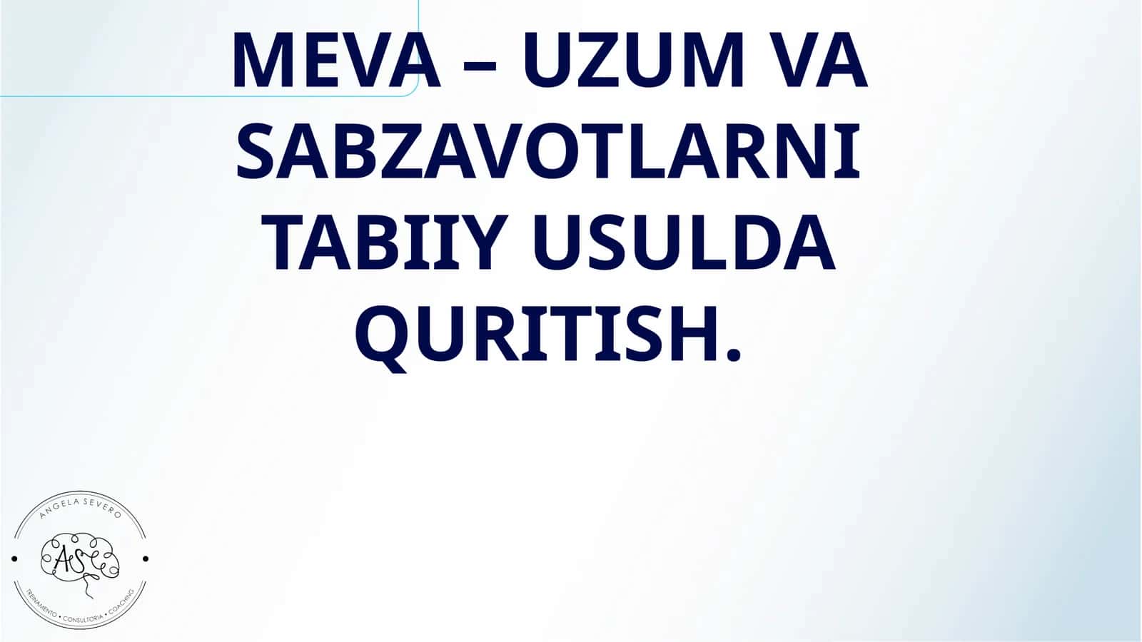 MEVA – UZUM VA SABZAVOTLARNI TABIIY USULDA QURITISH