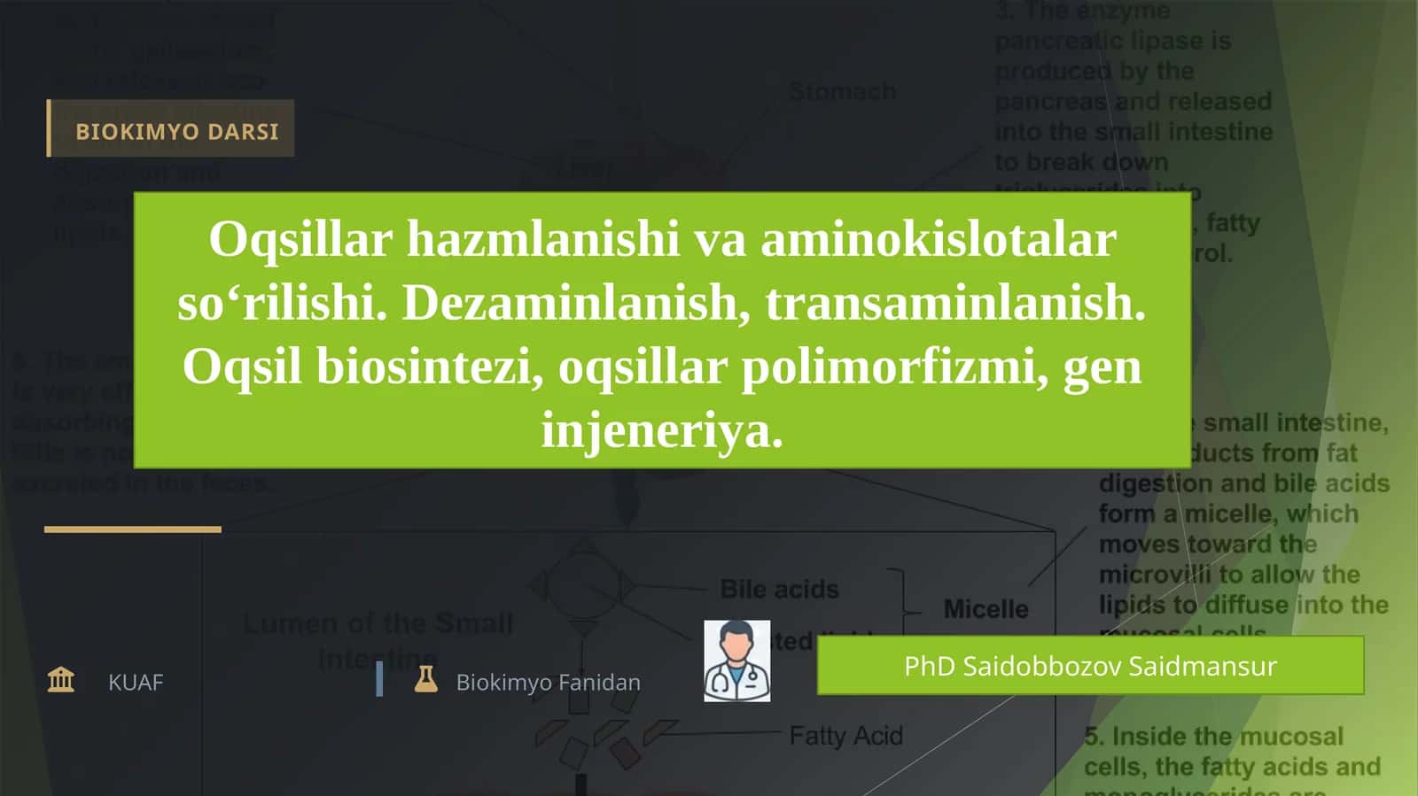 Oqsillar hazmlanishi va aminokislotalar so‘rilishi.