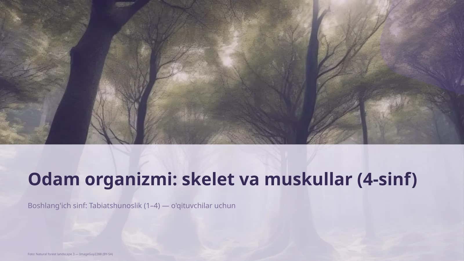 Odam organizmi: skelet va muskullar (4-sinf)