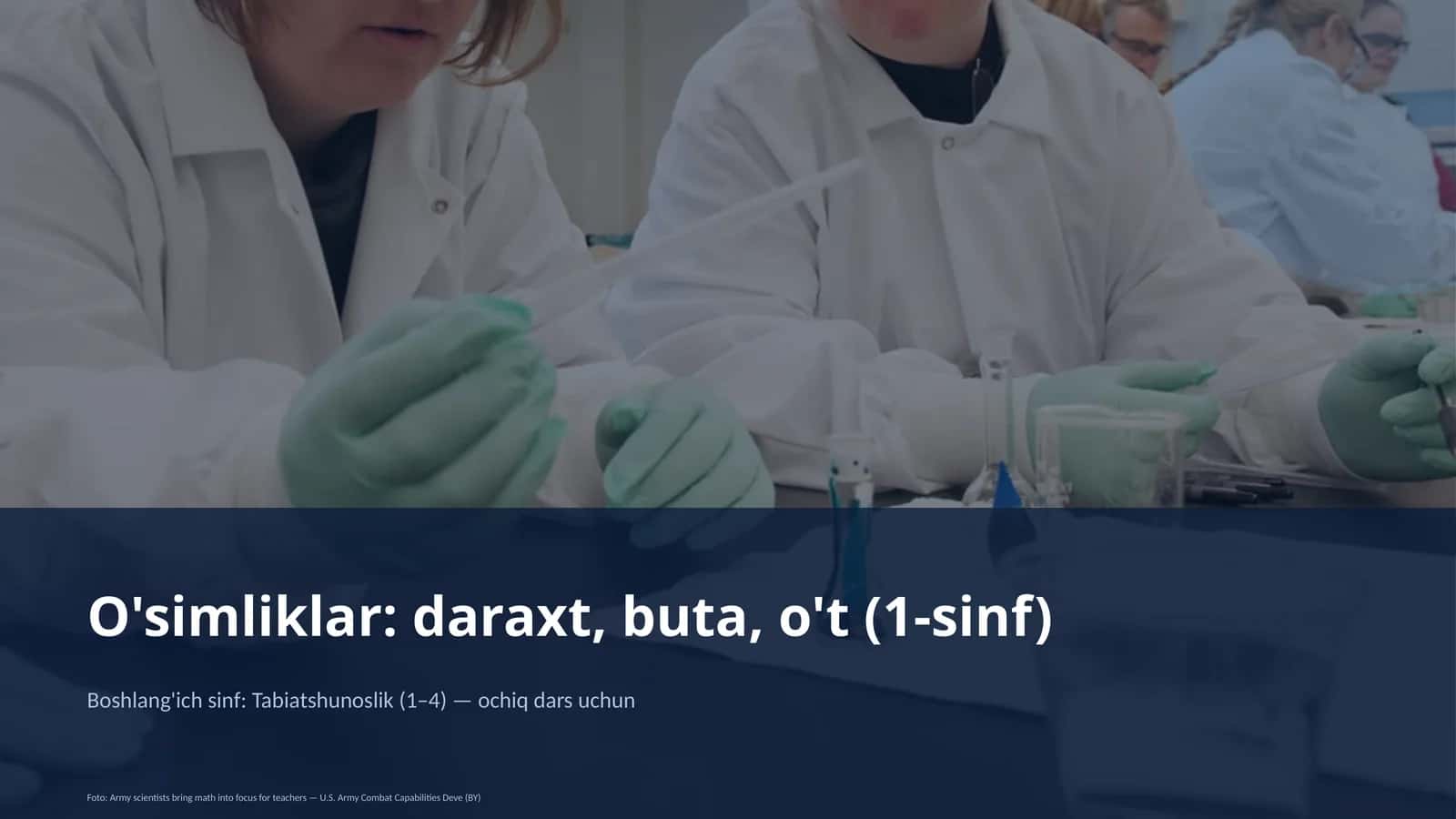 O'simliklar: daraxt, buta, o't (1-sinf)