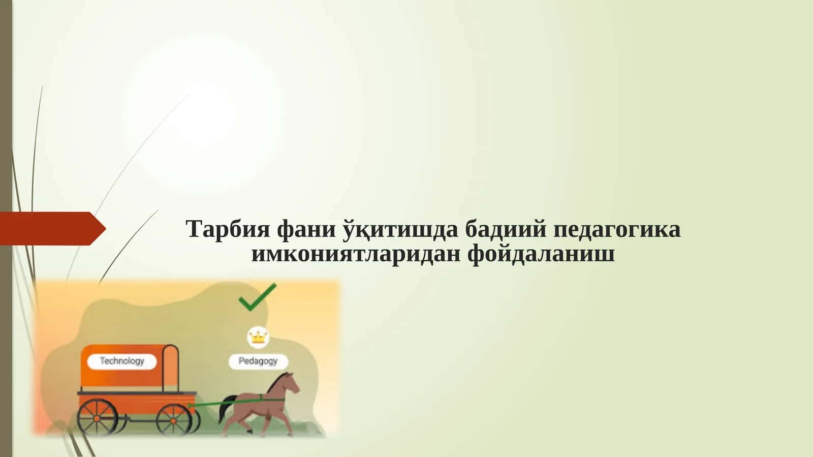 Тарбия фани уқитиш даражалари