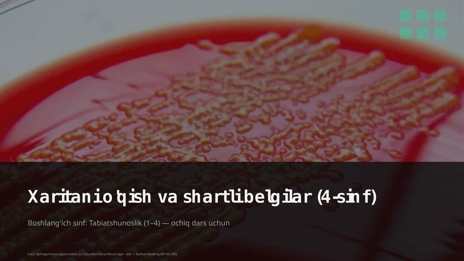 Xaritani o'qish va shartli belgilar (4-sinf)