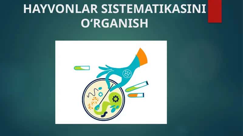 HAYVONLAR SISTEMATIKASINI O‘RGANISH