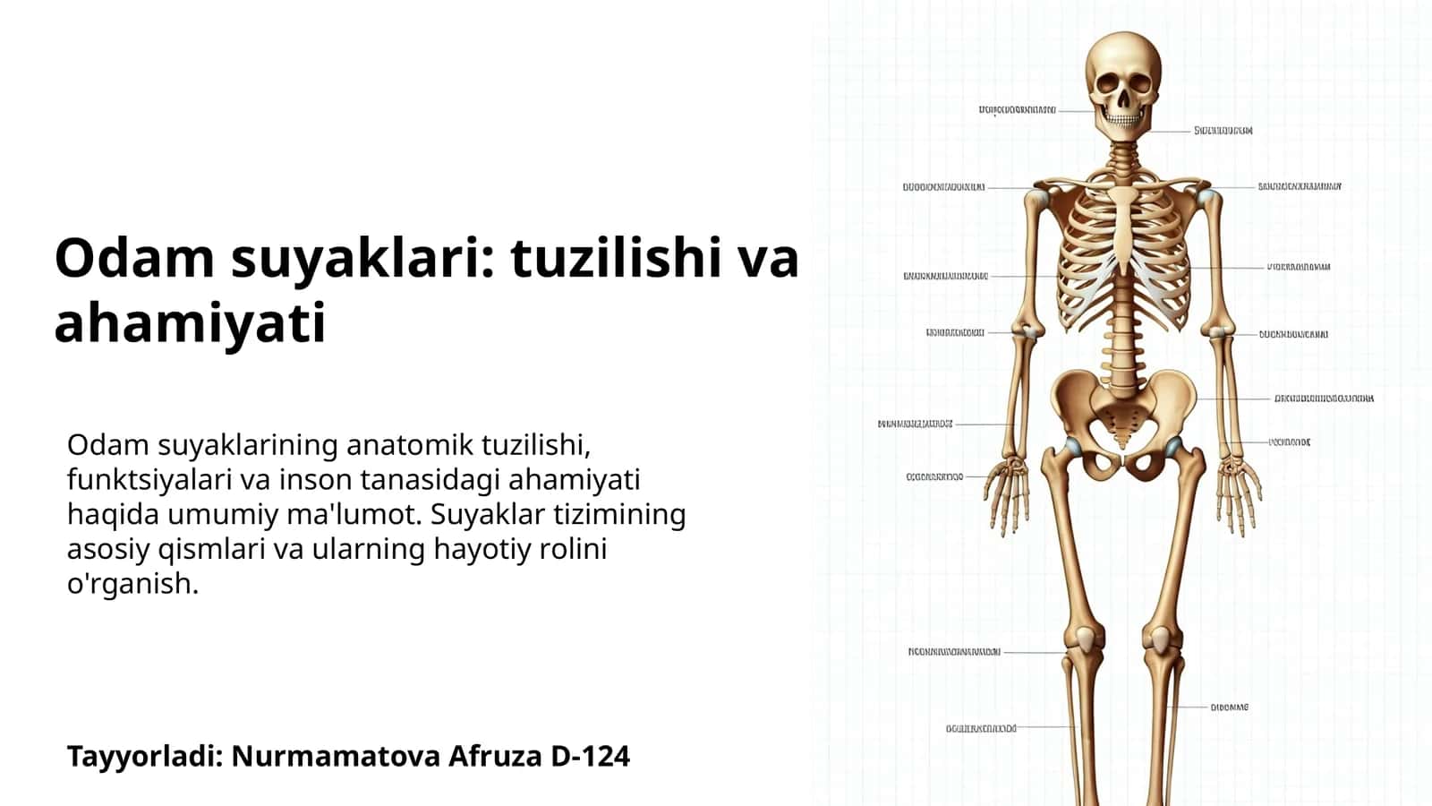 Odam suyaklari: tuzilishi va ahamiyati