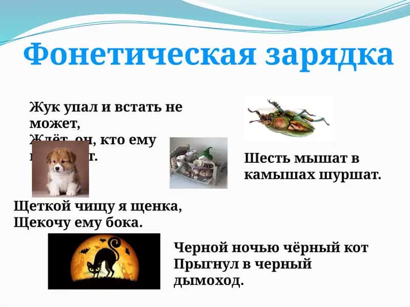 Фонетическая зарядка