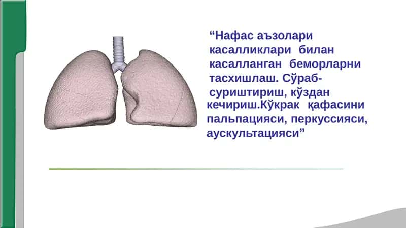 Нафасаъзолари