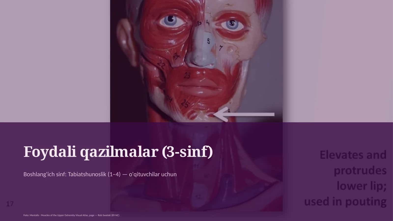 Tabiatshunoslik