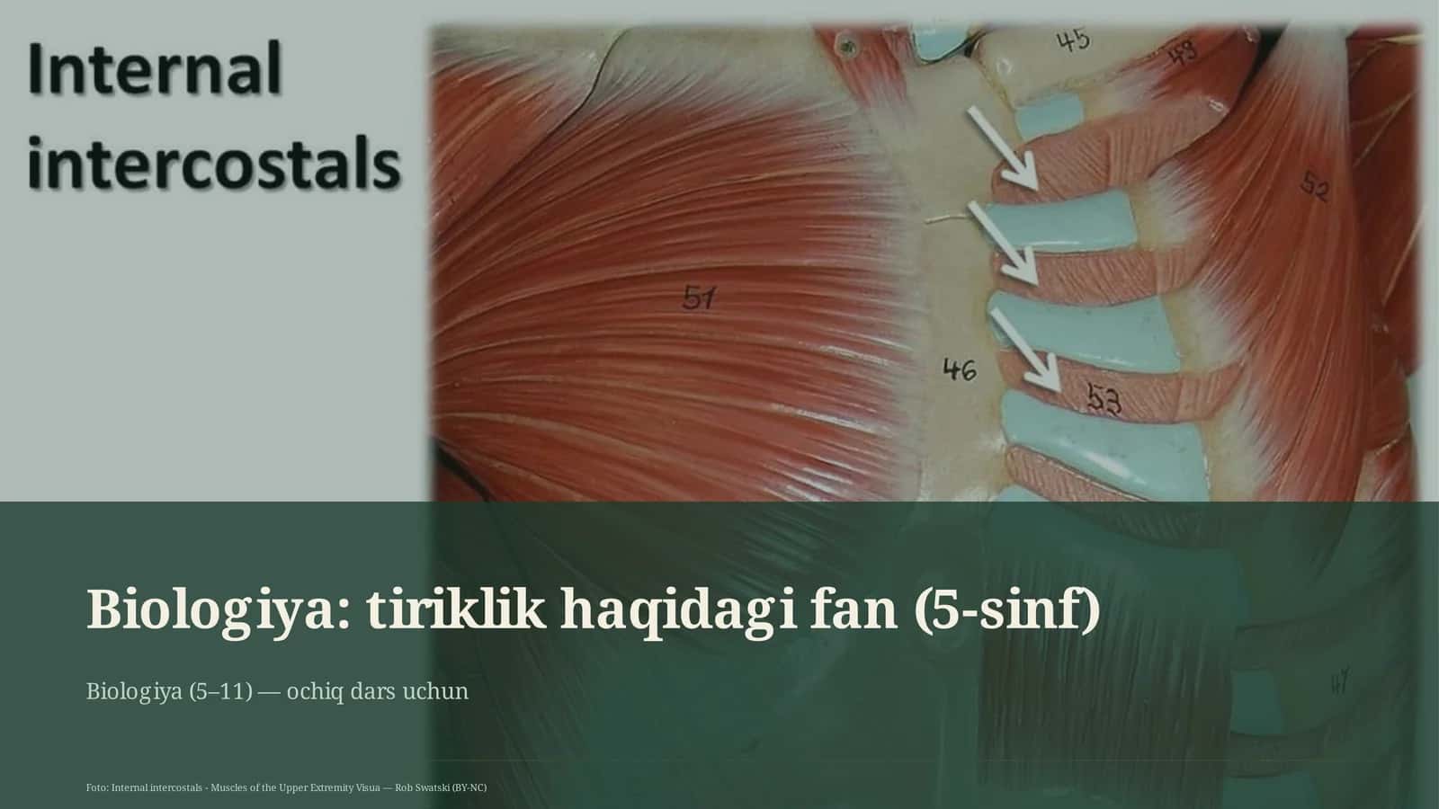 Biologiya: tiriklik haqidagi fan (5-sinf)
