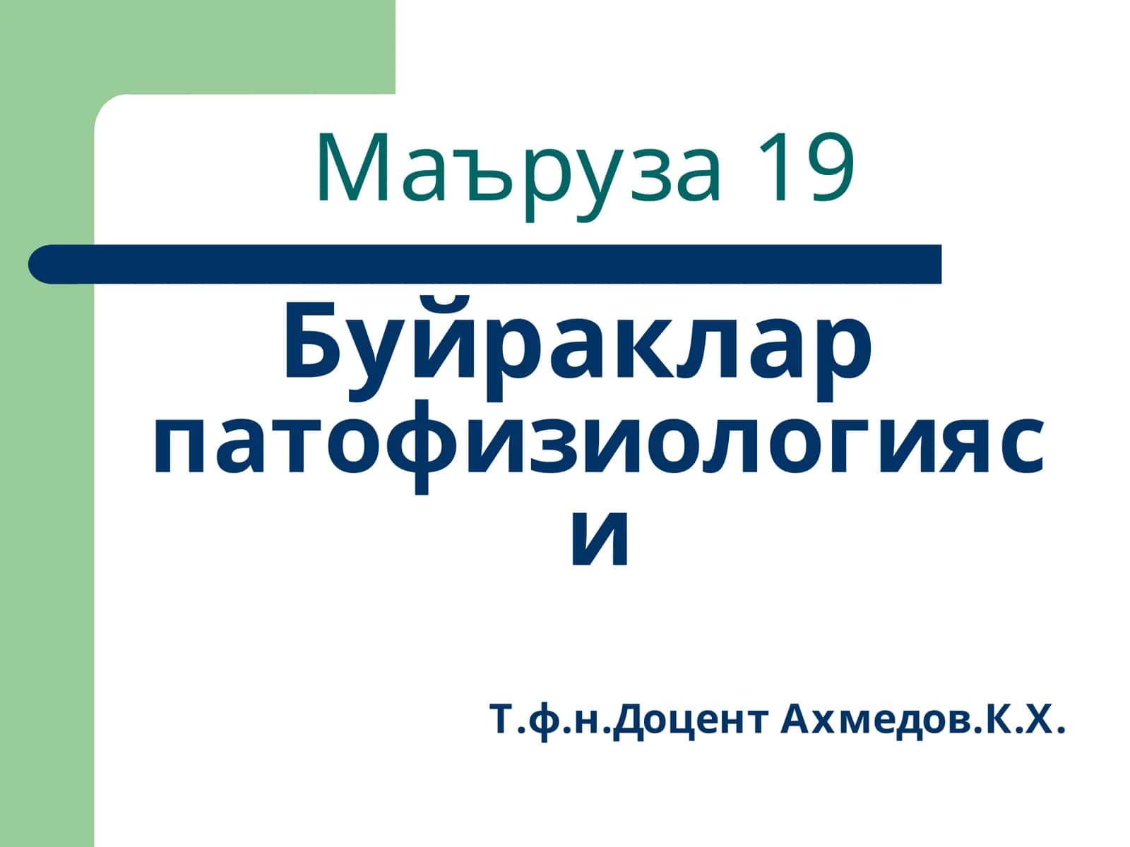 Маъруза19