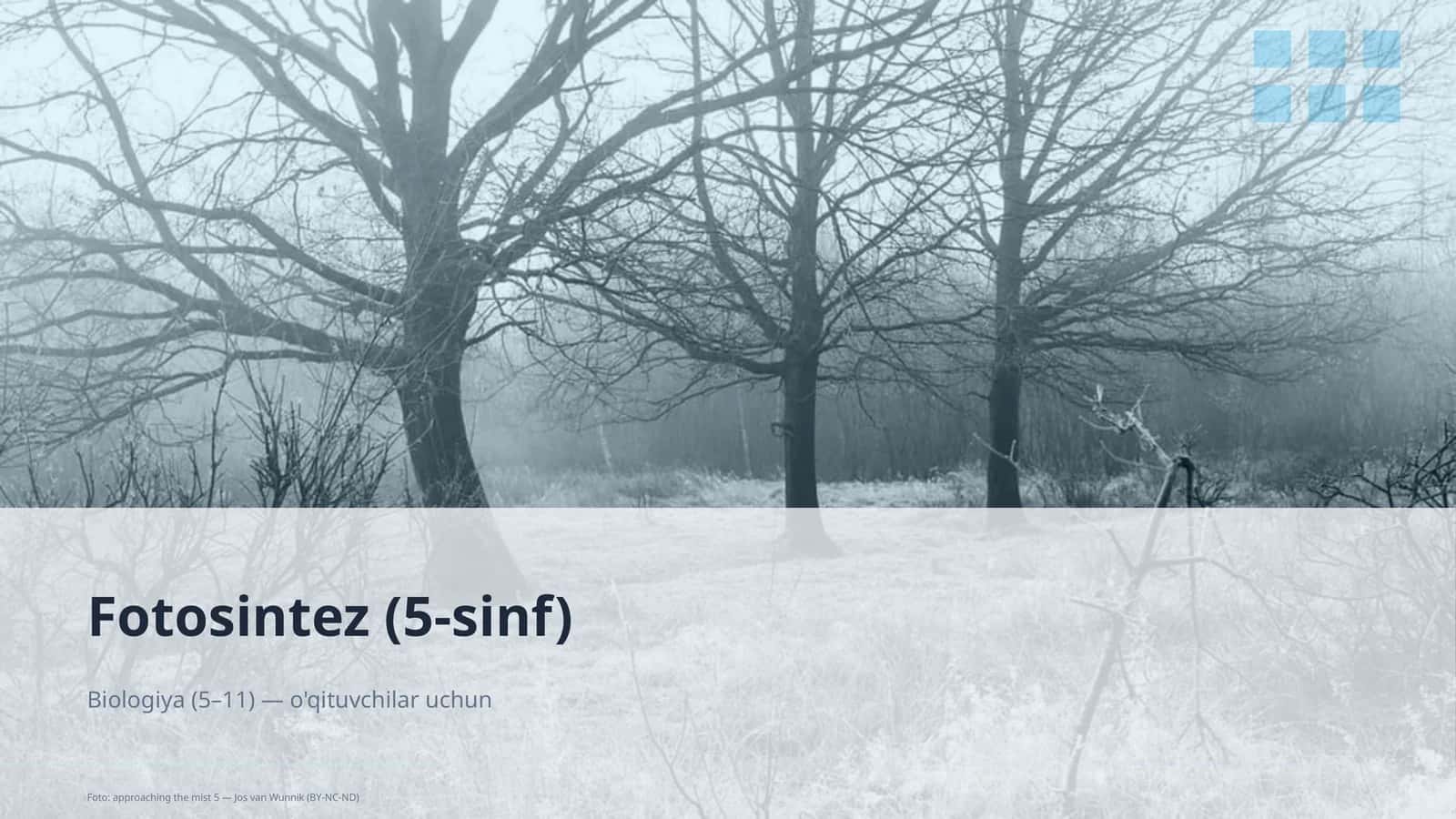 Fotosintez (5-sinf)