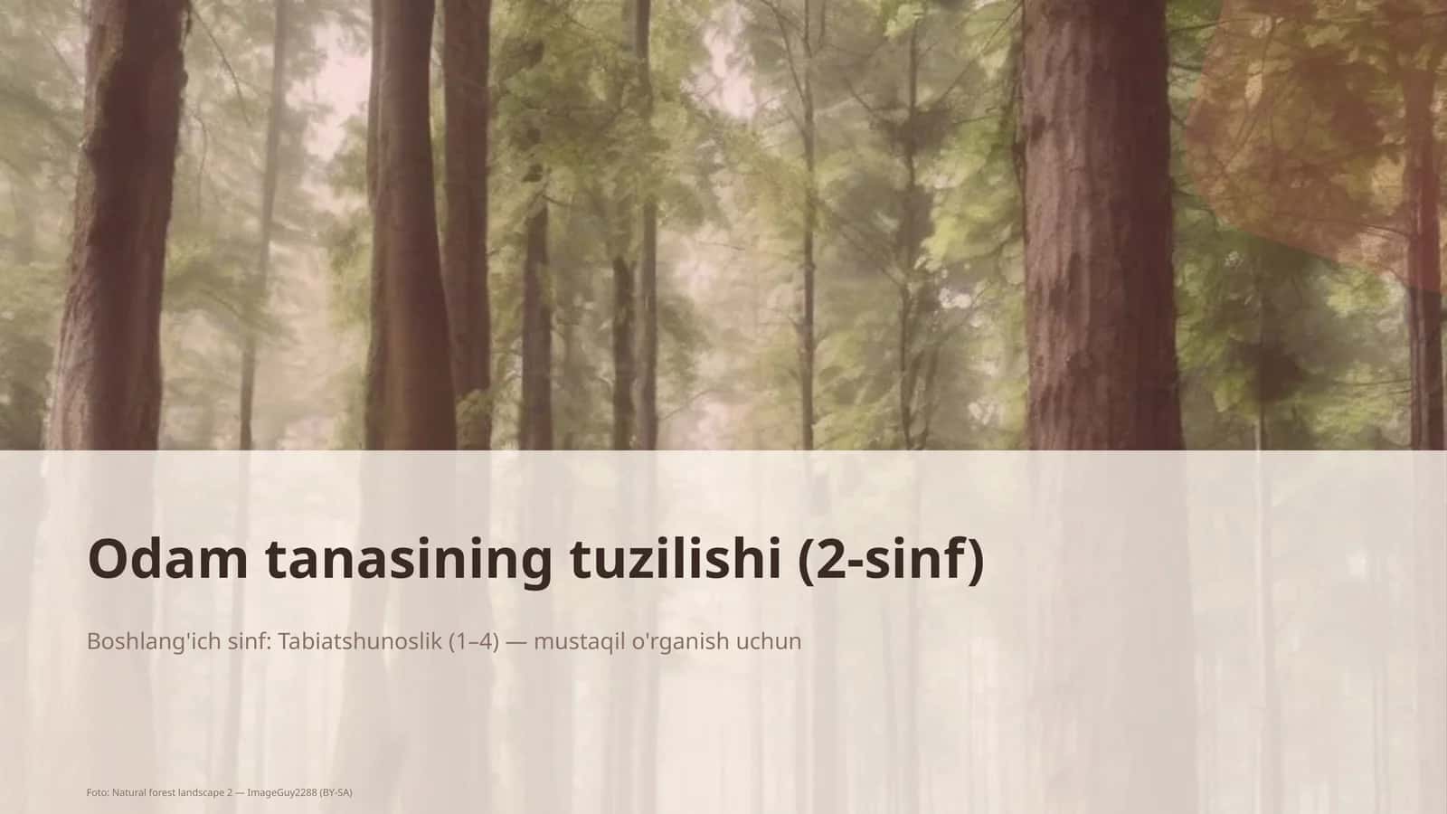 Odam tanasining tuzilishi (2-sinf)
