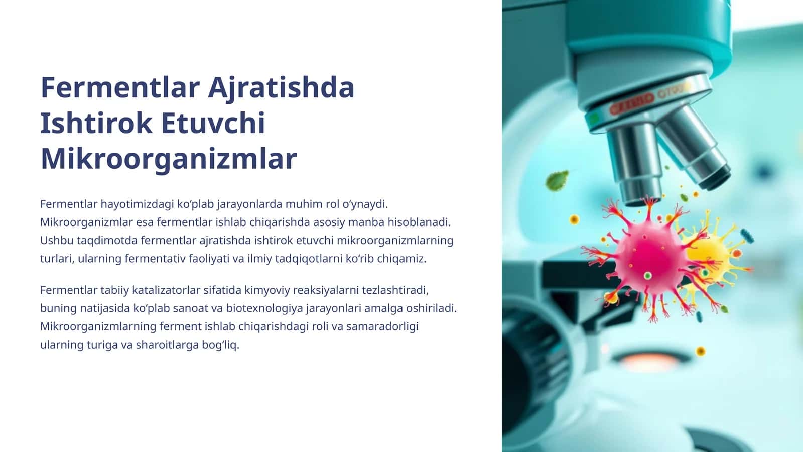 Fermentlar Ajratishda Ishtirok Etuvchi Mikroorganizmlar