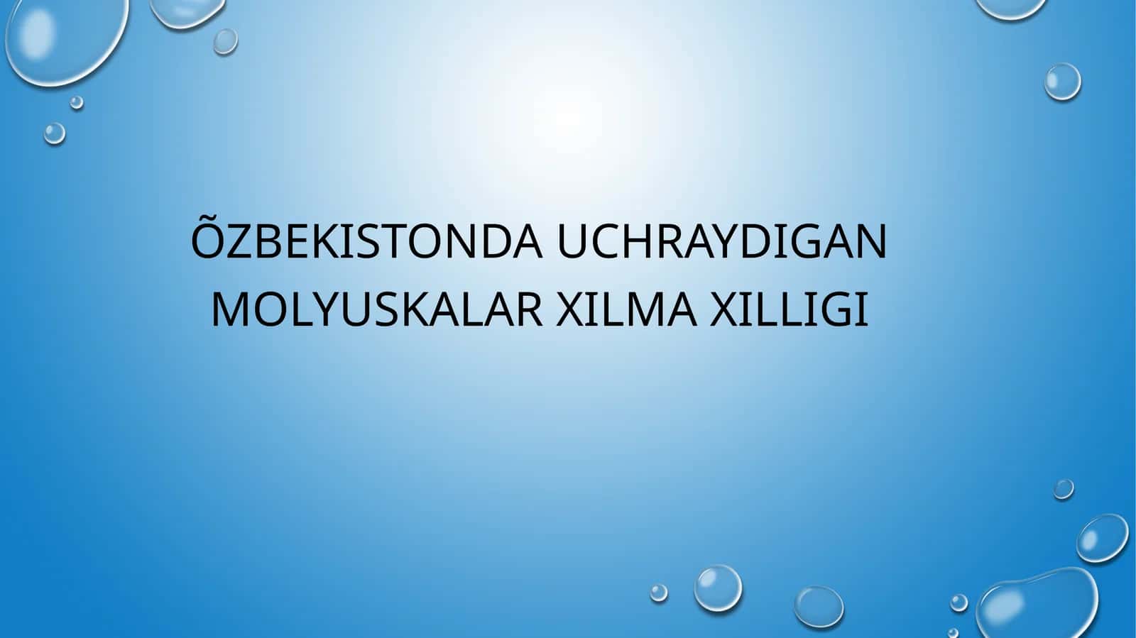 Qorinoyoqli mollyuskalar