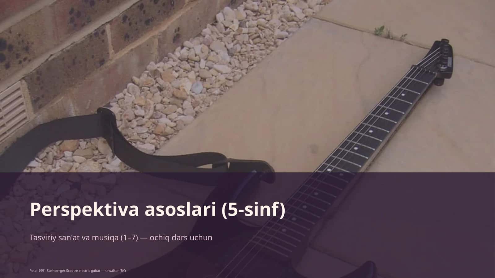 Perspektiva asoslari (5-sinf)