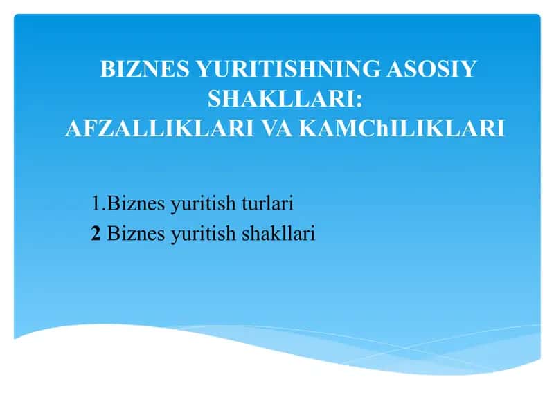 BIZNES YURITISHNING ASOSIY SHAKLLARI:AFZALLIKLARI VAKAMChILIKLARI