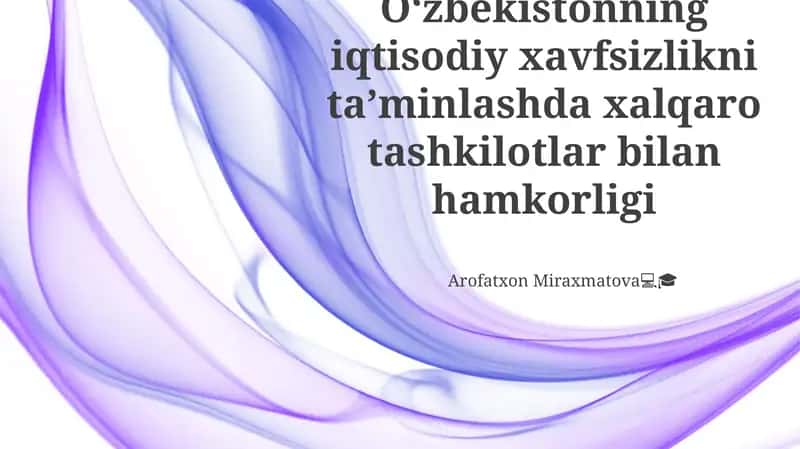 O‘zbekistonning iqtisodiy xavfsizlikni ta’minlashda xalqaro tashkilotlar bilan hamkorligi