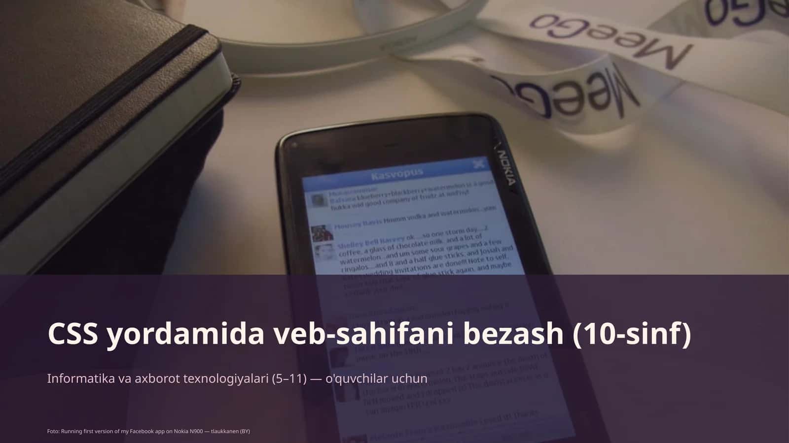 CSS yordamida veb-sahifani bezash (10-sinf)