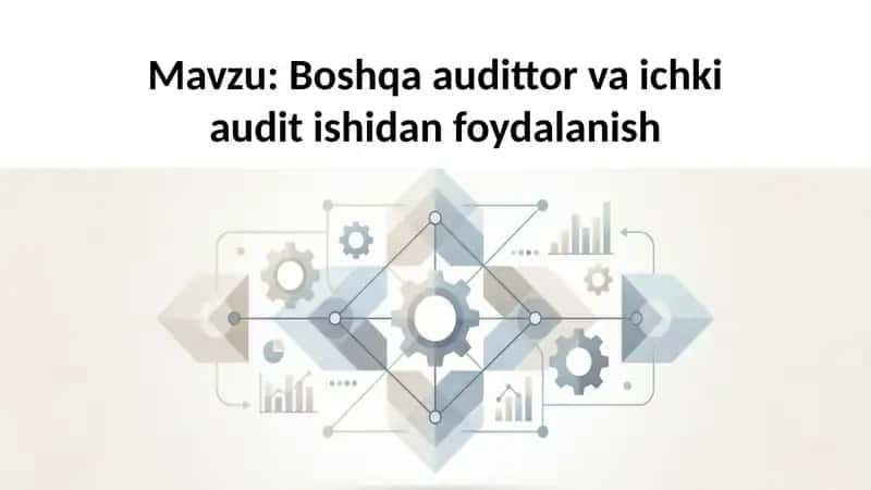 Boshqaaudittorva ichki audit ishidan foydalanish