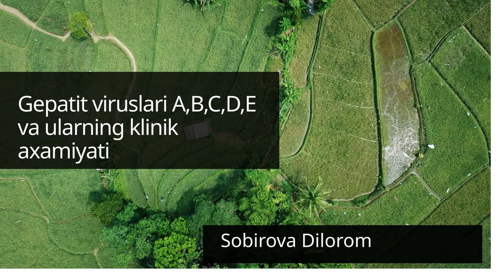 Gepatit Viruslari A, B, C, D, E Vaularning Klinik Axamiyati