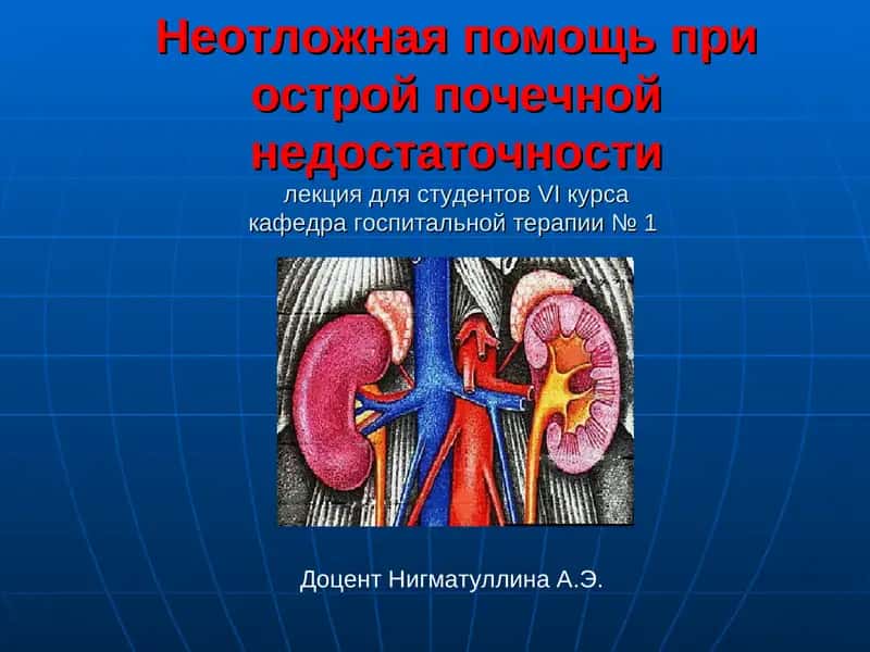 Студентлар учун касб-ҳунаржўм