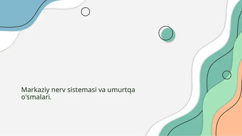 Markaziy nerv sistemasi va umurtqa o'smalari
