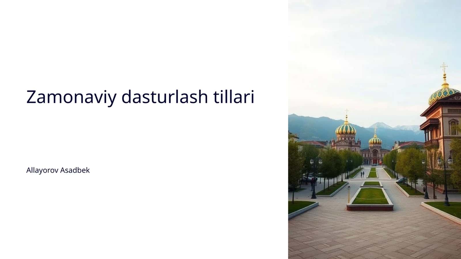 Dasturlash tillarining tarixi