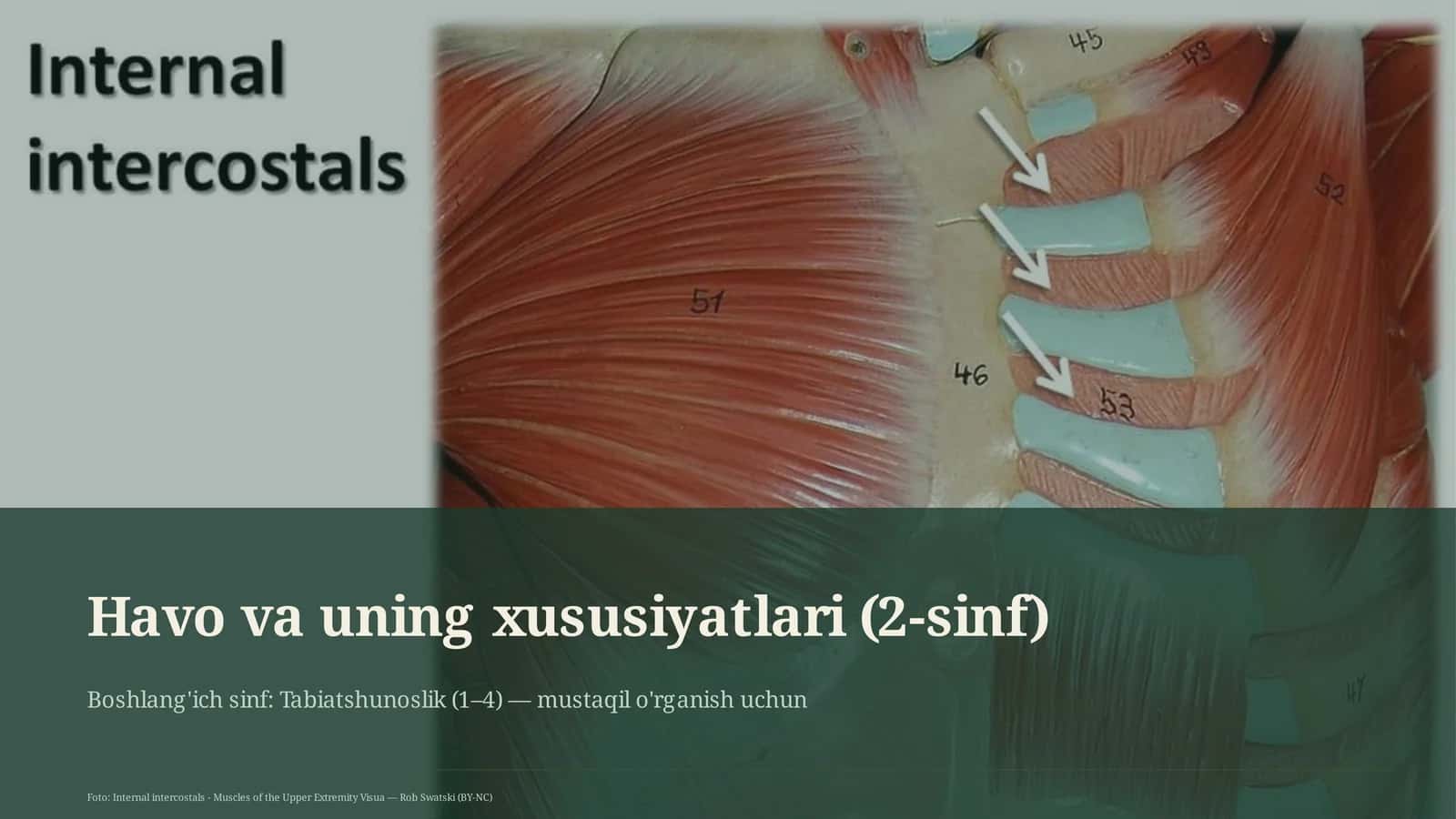 Havo va uning xususiyatlari (2-sinf)
