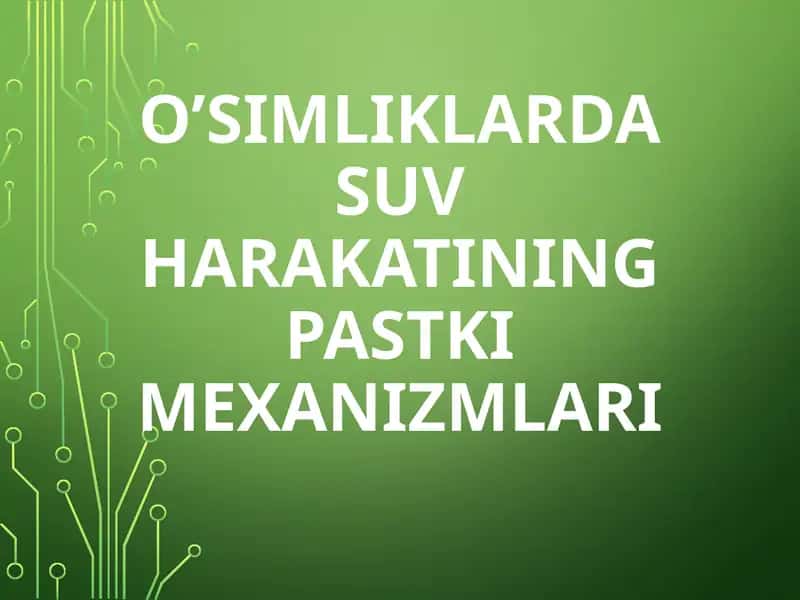 O’SIMLIKLARDA SUV HARAKATINING PASTKI MEXANIZMLARI
