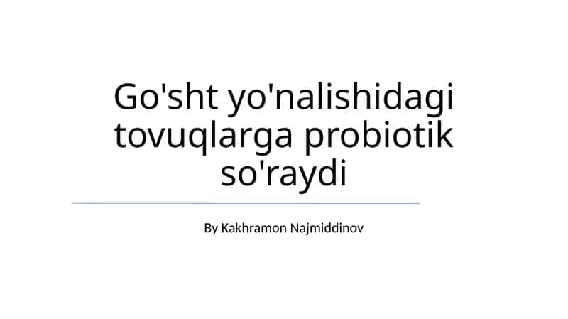 Tovuqlarga probiotik