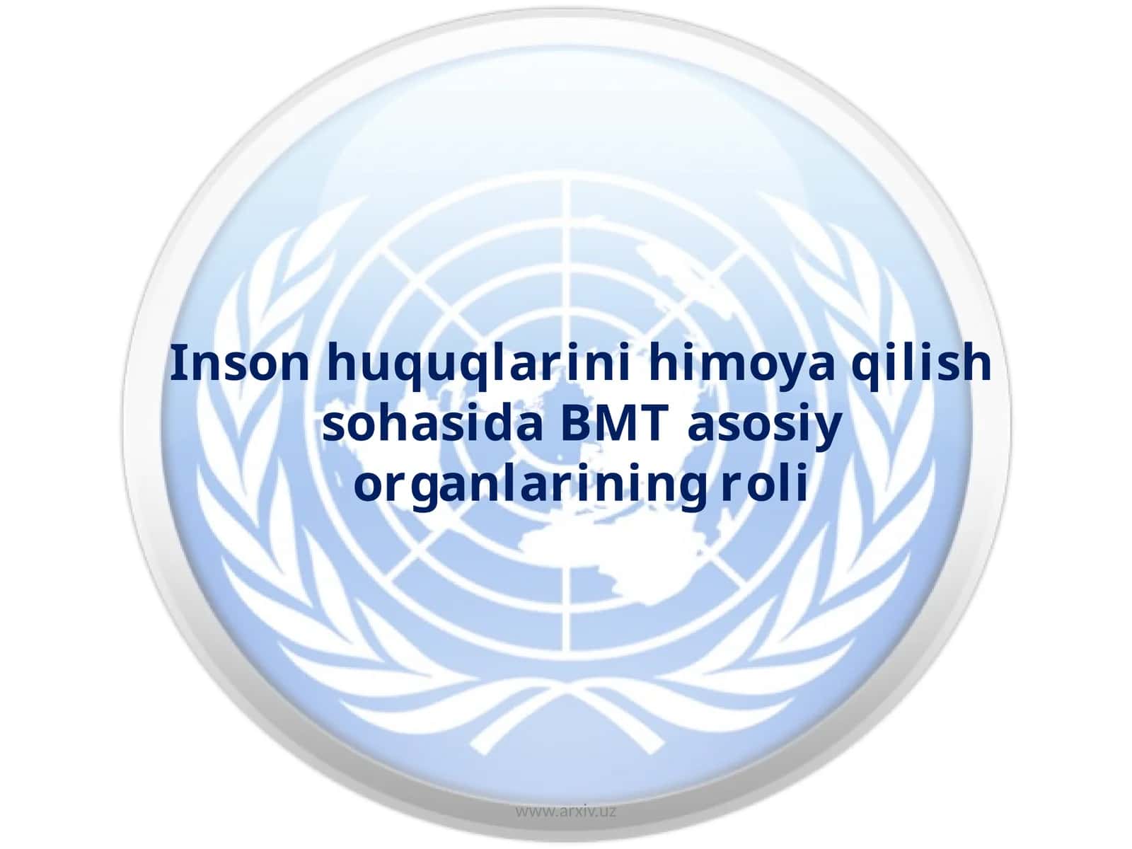 Inson huquqlarini himoya qilish sohasida BMT asosiy organlarining roli