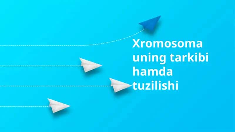 Xromosoma uning tarkibi hamda tuzilishi