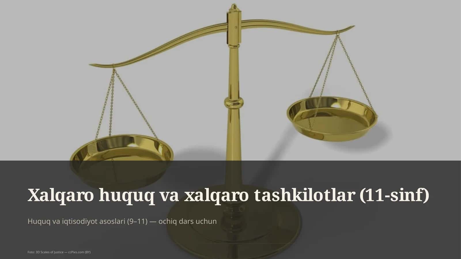 Xalqaro huquq va xalqaro tashkilotlar (11-sinf)